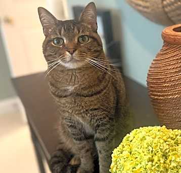 Photo of Gabriel