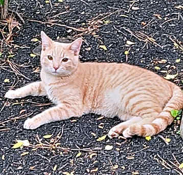 Photo of Cisco