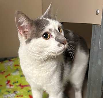 Photo of Jasper