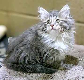 Photo of Appt. Pending - Cirrus
