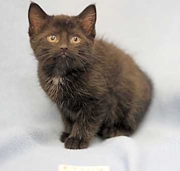 Photo of Elroy