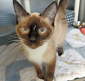 Photo of Reina