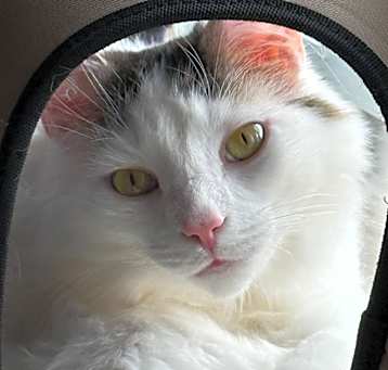 Photo of Derrick