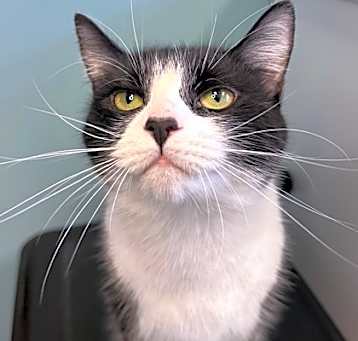 Photo of Storm