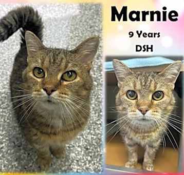 Photo of Marnie