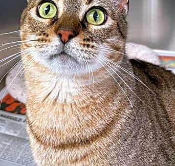 Photo of Azula