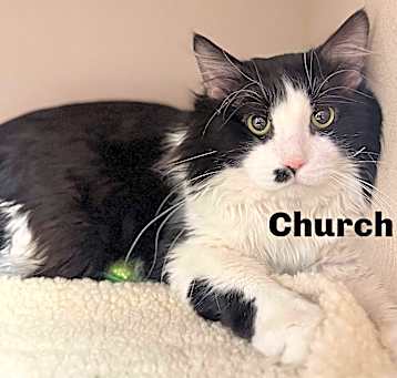 Photo of Church 250242