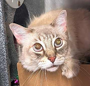 Photo of Cash