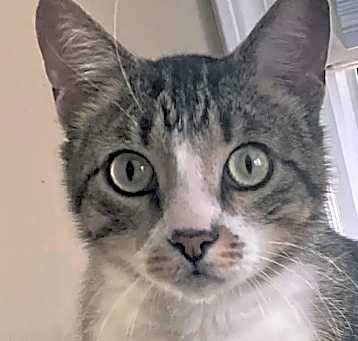 Photo of Sparky