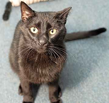 Photo of Parker