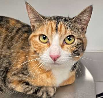 Photo of Penelope