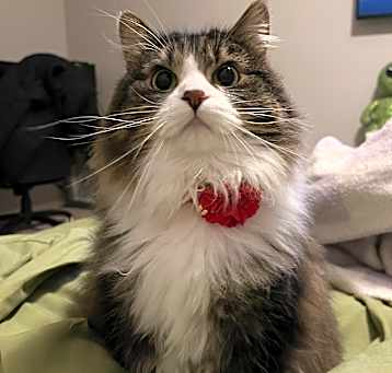 Photo of Kilo