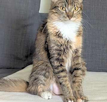 Photo of Daisy