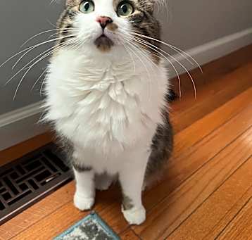 Photo of Luna