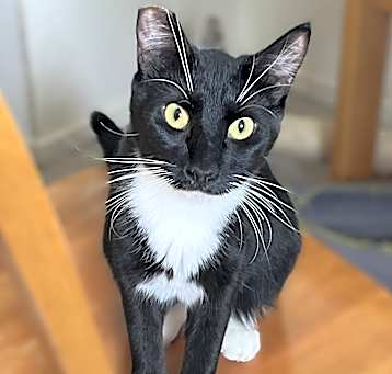Photo of Maya