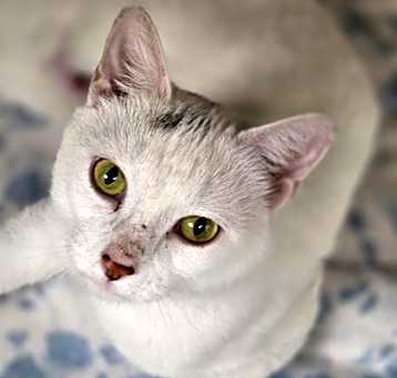Photo of Princess Penelope