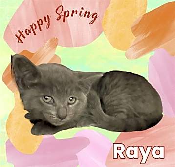 Photo of *RAYA