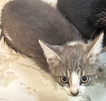 Photo of OLIVIA