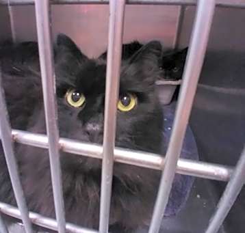 Photo of Oz