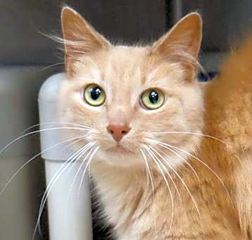 Photo of Spice