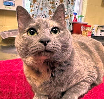 Photo of MIMI