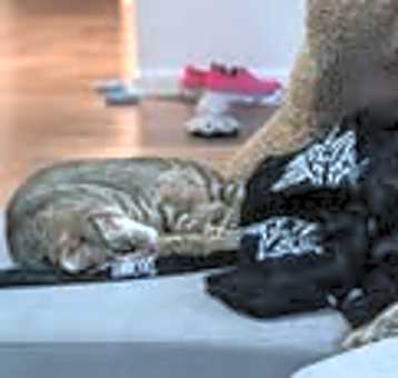 Photo of Ali and Rocky