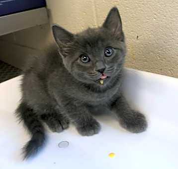 Photo of BOO BOO
