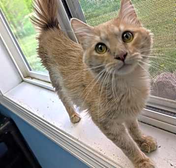 Photo of Buster
