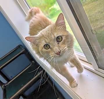 Photo of Quazzy