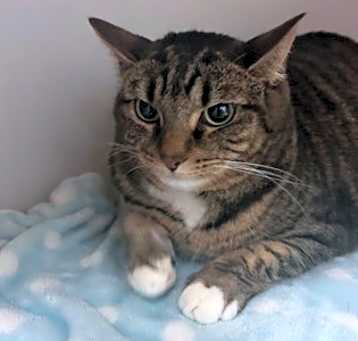 Photo of Pip Pip