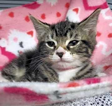 Photo of Leilani
