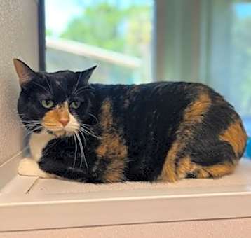Photo of Cali