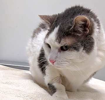 Photo of Princess