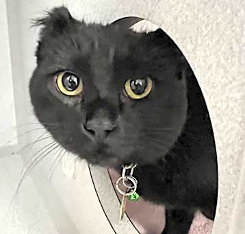 Photo of Alfonzo