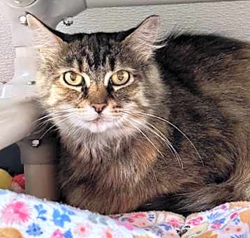 Photo of Thelma