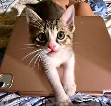 Photo of Timmy
