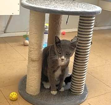 Photo of Penelope