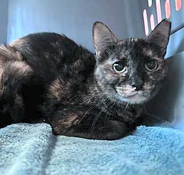 Photo of STORMY