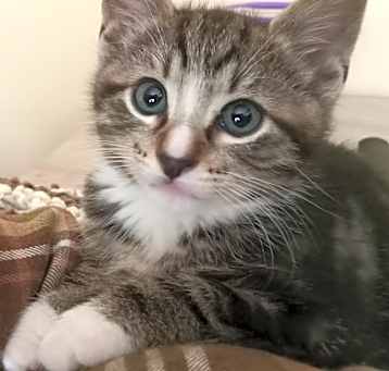 Photo of Sundae