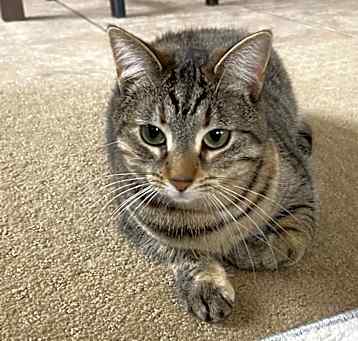 Photo of Milly