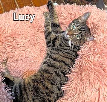 Photo of Lucy