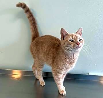 Photo of Ramona