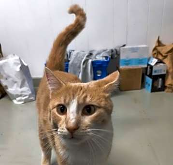 Photo of Flick