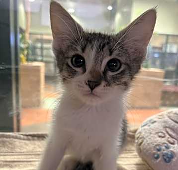 Photo of JACK