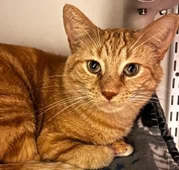 Photo of Diego