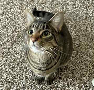 Photo of Skittles