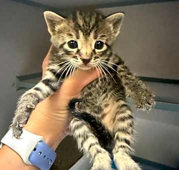 Photo of Penelope 