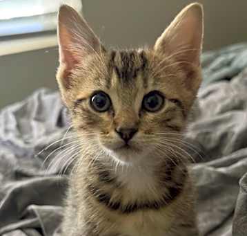 Photo of FINN