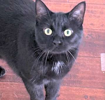 Photo of Smidge