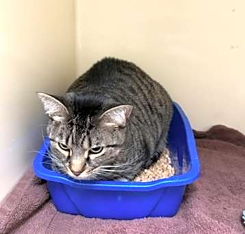 Photo of Winnie